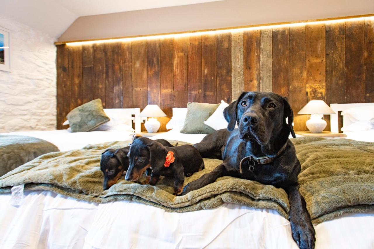 Kings Arms Hotel Пензанс Екстериор снимка